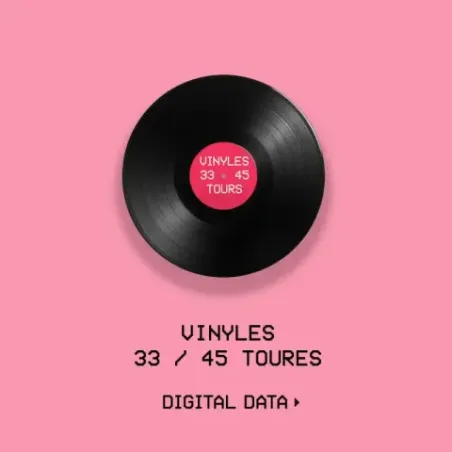 Spécialiste en numérisation de Vinyl Audio à Chavannes-près-Renens Lausanne Région